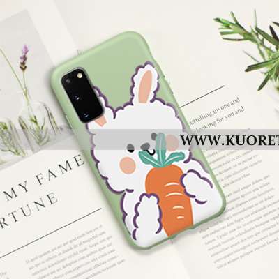 Kuori Samsung Galaxy S20, Kuoret Samsung Galaxy S20, Kotelo Samsung Galaxy S20 Suojaus Pesty Suede V