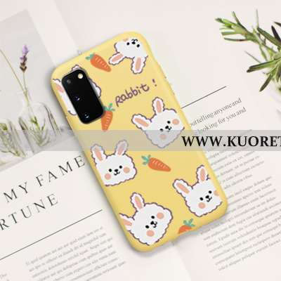 Kuori Samsung Galaxy S20, Kuoret Samsung Galaxy S20, Kotelo Samsung Galaxy S20 Suojaus Pesty Suede V