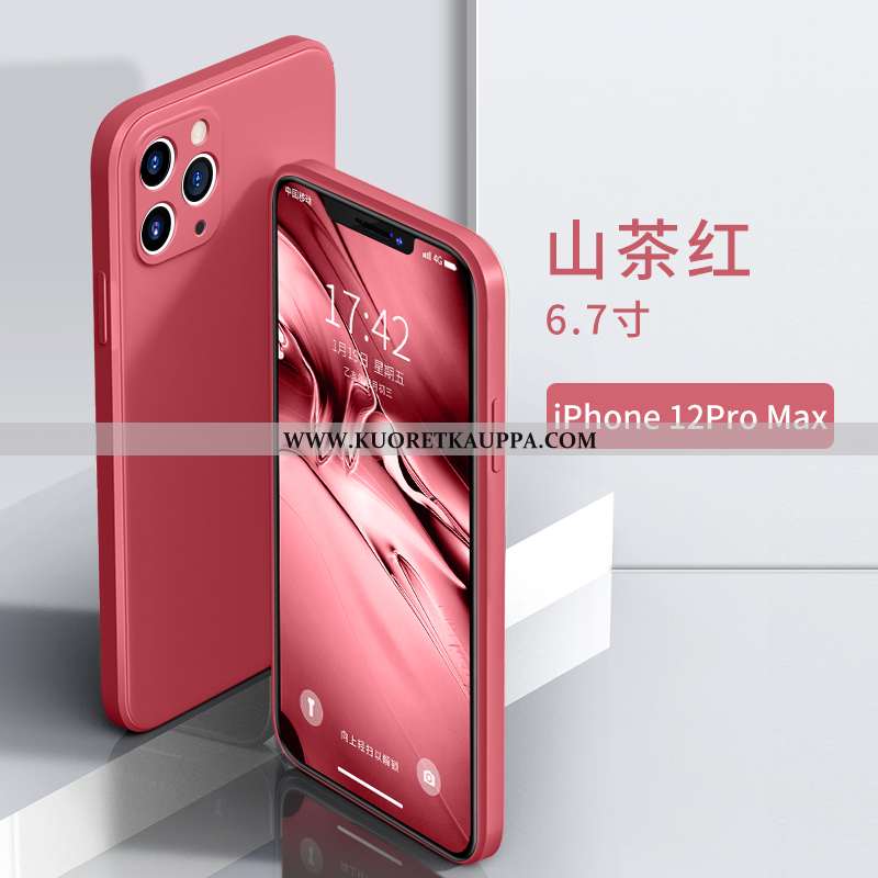 Kuori iPhone 12 Pro Max, Kuoret iPhone 12 Pro Max, Kotelo iPhone 12 Pro Max Persoonallisuus Luova Pe