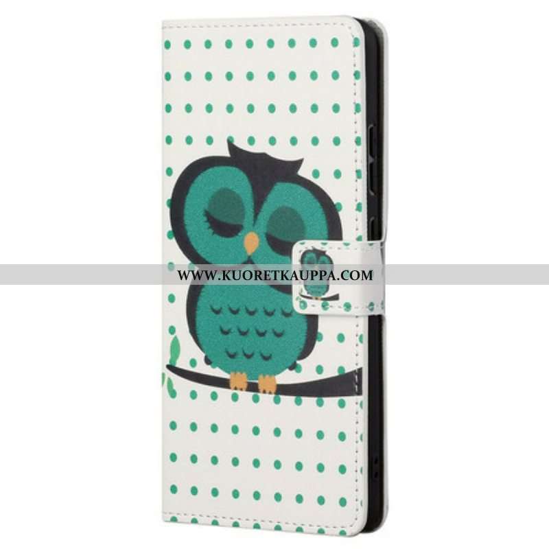 Kotelot OnePlus Nord CE 5G Nukkuva Pöllö